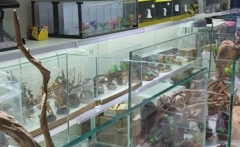 Ajman Aquarium