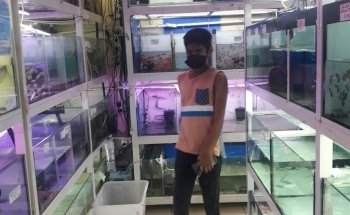 Ajman Aquarium
