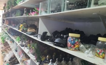 Ajman Aquarium