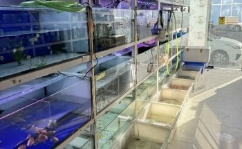 Ajman Aquarium