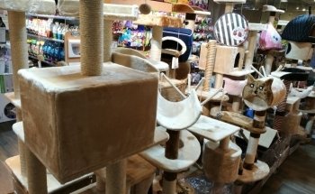 Pet Corner Motor City Pet Shop
