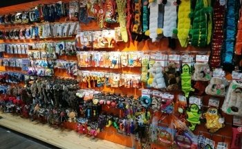 Pet Corner Motor City Pet Shop