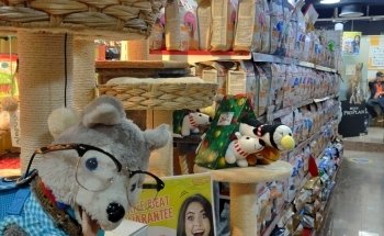 Pet Corner Motor City Pet Shop