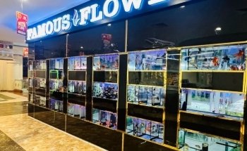 Famous Aquarium and Pets Dubai