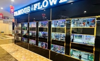Famous Aquarium and Pets Dubai