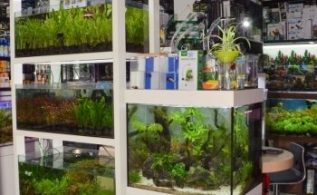 Famous Aquarium and Pets Dubai
