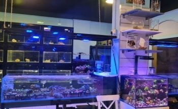 Aquarium Planet for Fish and Live Animals Trading LLC