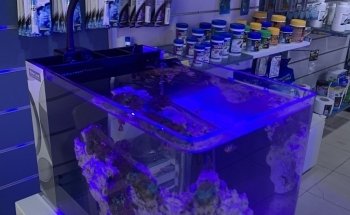 Aquarium Planet for Fish and Live Animals Trading LLC