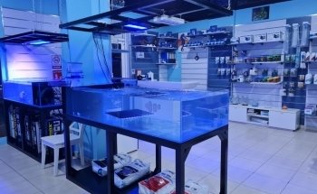 Aquarium Planet for Fish and Live Animals Trading LLC