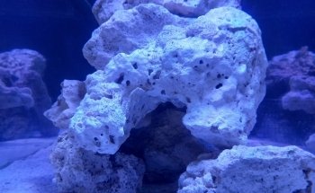 Acuario AquaT