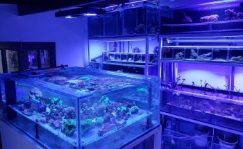 Acuario AquaT
