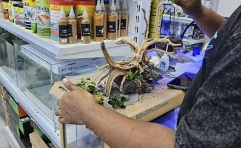 Aquarist Hub / Aquarium Shop