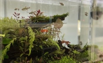 Aquarist Hub / Aquarium Shop