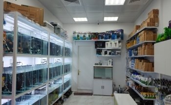 Aquarist Hub / Aquarium Shop