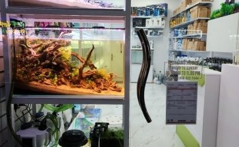 Aquarist Hub / Aquarium Shop