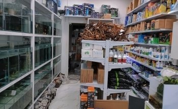 Aquarist Hub / Aquarium Shop