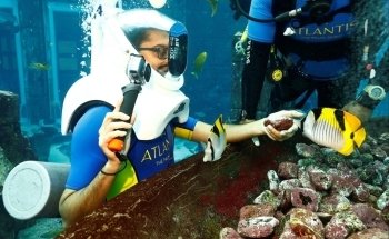 Diving at Aquaventure World