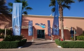 Diving at Aquaventure World