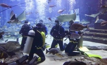 Diving at Aquaventure World