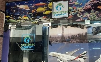 GDA MARINE (Green Desert Aquarium Trading LLC - Marine Branch)