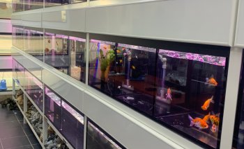 Aqua Land Aquarium And Pet Food I Aquarium and Pet Food in Dubai | UAE