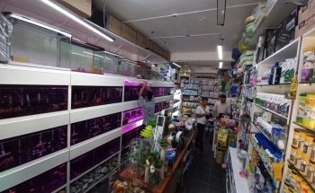 Aqua Land Aquarium And Pet Food I Aquarium and Pet Food in Dubai | UAE