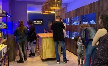 ACQUS
