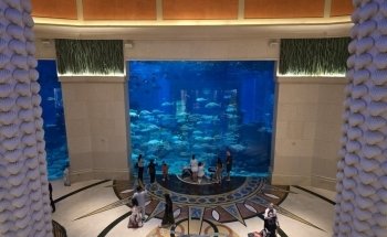 Hotel Aquarium - Atlantis, The Palm
