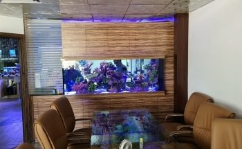 Water Wonders Aquarium L.L.C