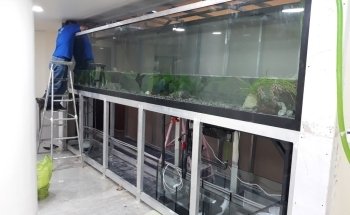 Water Wonders Aquarium L.L.C