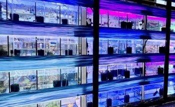 Jasmin Fish Aquarium