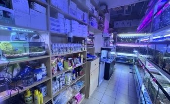 Jasmin Fish Aquarium