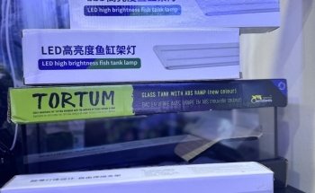Jasmin Fish Aquarium