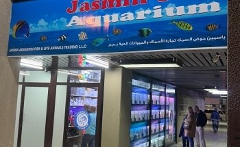 Acuario Jasmin Fish