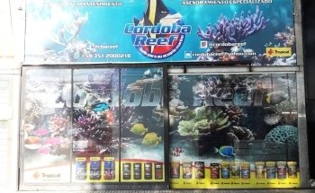 Cordoba Reef