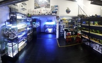Cordoba Reef