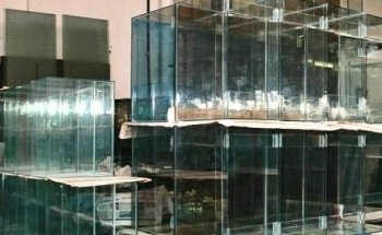 FISH TANK FACTORY RO-MA