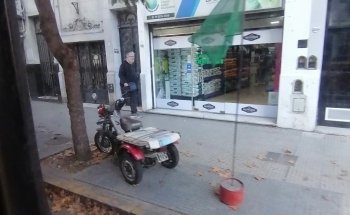 PET SHOP Universe Canino
