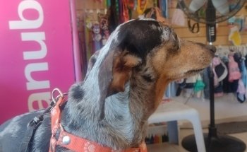Veterinaria La Serranita