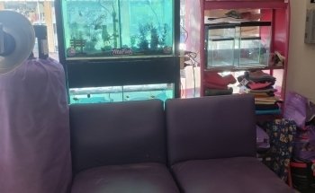 Veterinaria La Serranita