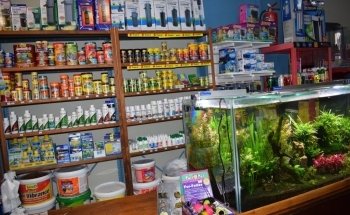 Acuario Arrecife