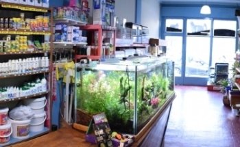 Reef Aquarium