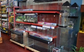 Acuario Arrecife