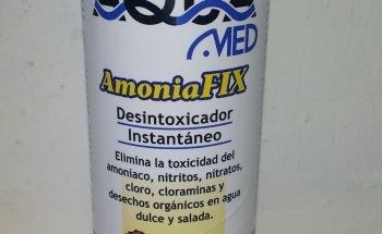 Flounder Acuario