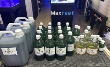 Maxreef Aquarium