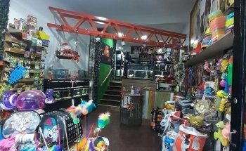 Acuario Hipama