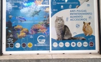 El Gran Pez - Acuario y Petshop