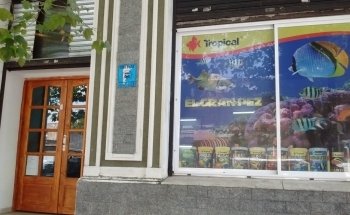 El Gran Pez - Acuario y Petshop