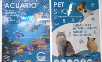 The Great Fish - Aquarium and Petshop
