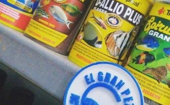 El Gran Pez - Acuario y Petshop